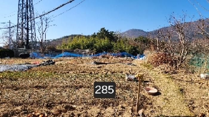 부산광역시 기장군 장안읍 좌천리 390 전 경매 사진 3