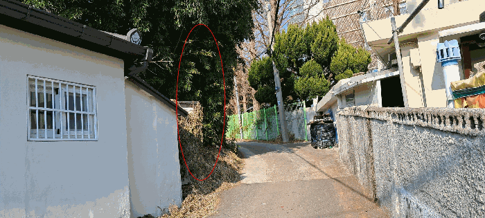 부산광역시 기장군 장안읍 좌천리 390 전 경매 사진 5
