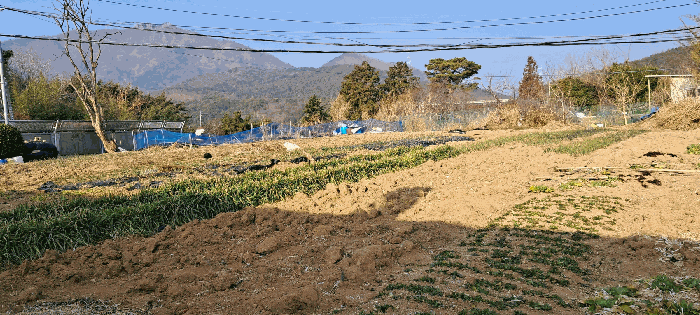 부산광역시 기장군 장안읍 좌천리 390 전 경매 사진 7