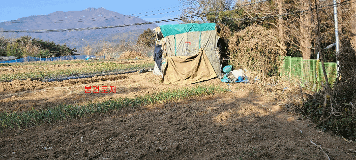 부산광역시 기장군 장안읍 좌천리 390 전 경매 사진 8