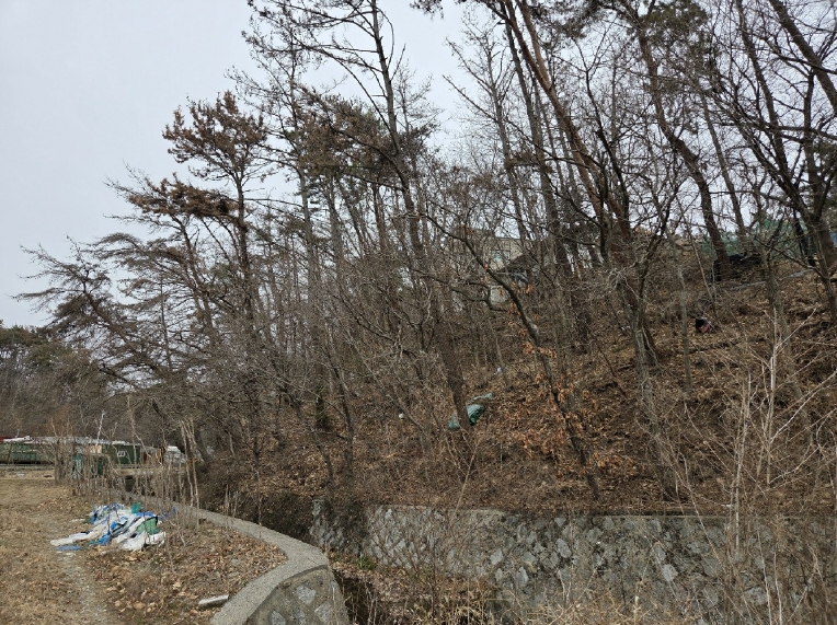 부산광역시 기장군 장안읍 반룡리 226-1 외 3필지 임야 경매 사진 1