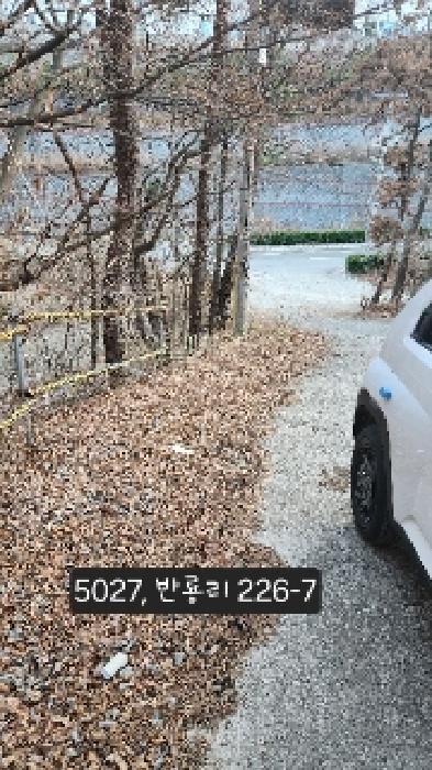부산광역시 기장군 장안읍 반룡리 226-1 외 3필지 임야 경매 사진 13