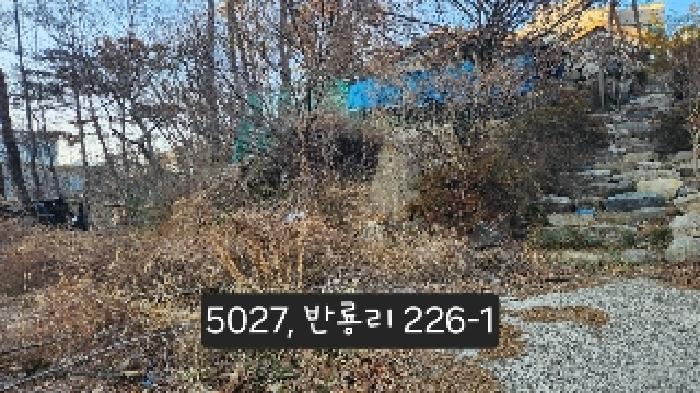 부산광역시 기장군 장안읍 반룡리 226-1 외 3필지 임야 경매 사진 19