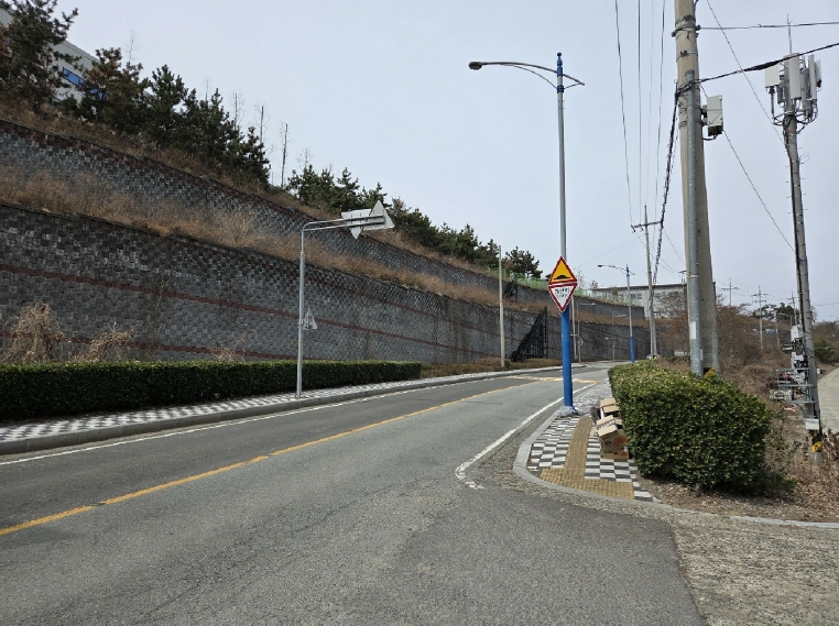 부산광역시 기장군 장안읍 반룡리 226-1 외 3필지 임야 경매 사진 3