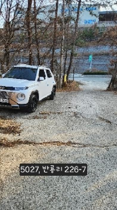 부산광역시 기장군 장안읍 반룡리 226-1 외 3필지 임야 경매 사진 6