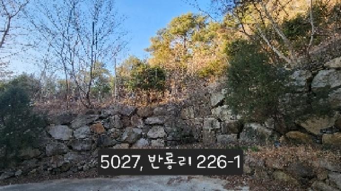 부산광역시 기장군 장안읍 반룡리 226-1 외 3필지 임야 경매 사진 10