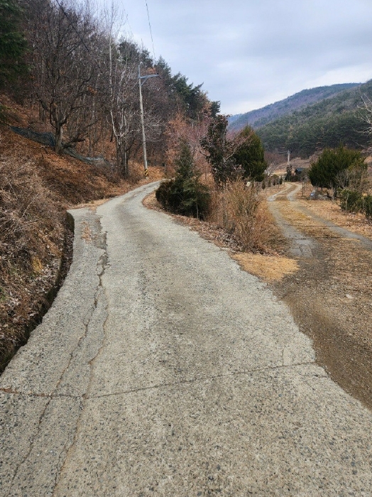 부산광역시 기장군 일광읍 용천리 산55-2 임야 경매 사진 33