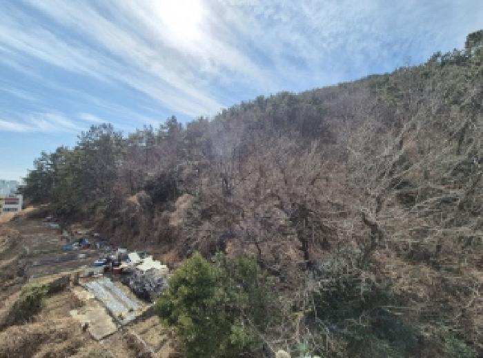 부산광역시 사하구 감천동 산28-10 외 6필지 임야 경매 사진 4