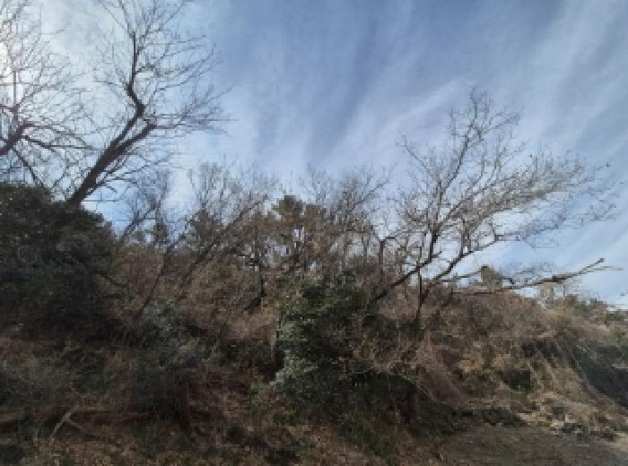 부산광역시 사하구 감천동 산28-10 외 6필지 임야 경매 사진 7