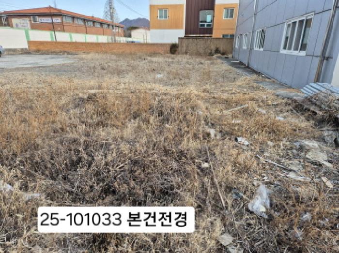 부산광역시 강서구 대저1동 1491-48 대지 경매 사진 11