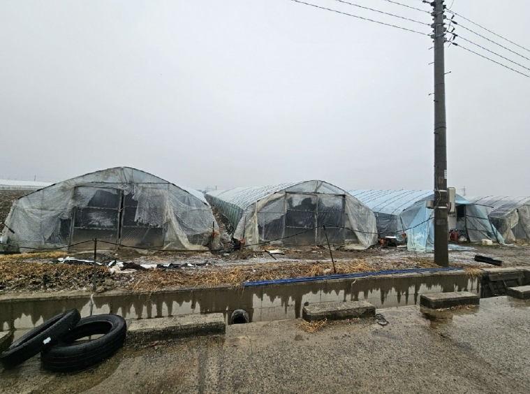 부산광역시 강서구 강동동 1008 답 경매 사진 8