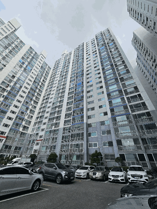 부산광역시 사하구 하단동 717-1 하단청구아파트 1동 18층1804호 외 4필지 아파트 경매 사진 3