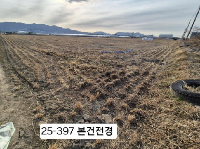 부산광역시 강서구 대저1동 3702-1 답 경매 사진 10