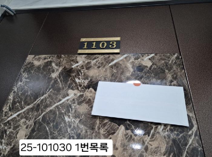 부산광역시 강서구 녹산동 262-1 1동 11층1103호 외 2필지 오피스텔(주거) 경매 사진 3