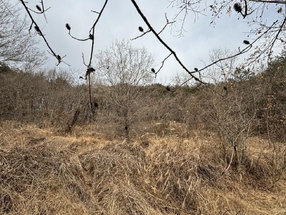 울산광역시 울주군 범서읍 두산리 964 답 경매 사진 2