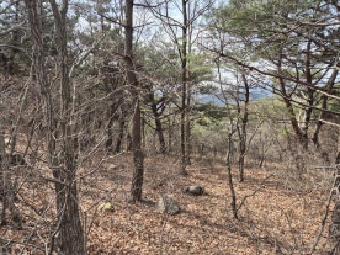 울산광역시 북구 달천동 산166 임야 경매 사진 1
