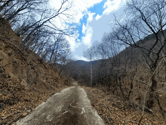 경상남도 양산시 원동면 원리 산118 임야 경매 사진 14