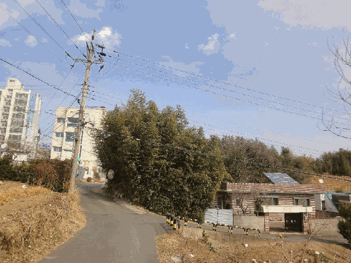 울산광역시 울주군 삼남읍 교동리 978-1 대지 경매 사진 5