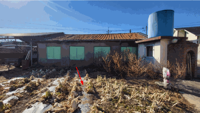 울산광역시 울주군 두서면 구량리 174-1 외 1필지 동물및식물관련시설 경매 사진 13
