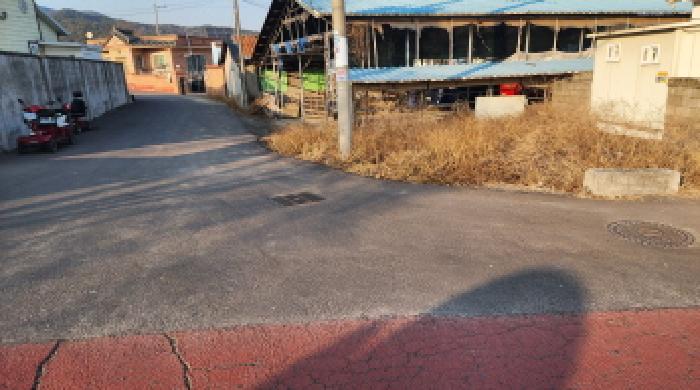 울산광역시 울주군 두서면 구량리 174-1 외 1필지 동물및식물관련시설 경매 사진 3