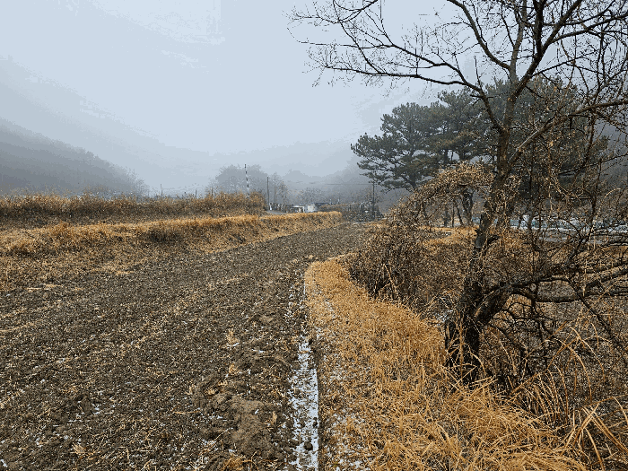 울산광역시 울주군 상북면 산전리 705-1 답 경매 사진 14