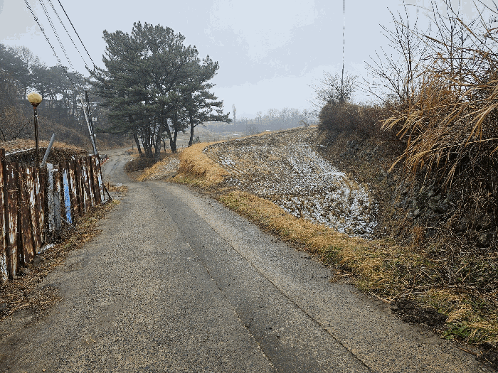 울산광역시 울주군 상북면 산전리 705-1 답 경매 사진 16