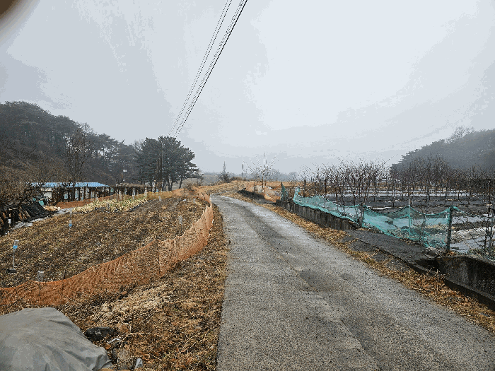 울산광역시 울주군 상북면 산전리 705-1 답 경매 사진 18