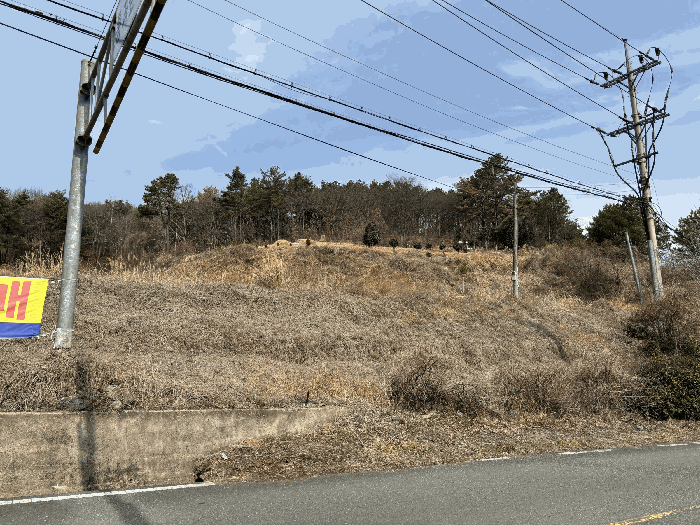 울산광역시 울주군 두서면 전읍리 315-1 외 2필지 전 경매 사진 6