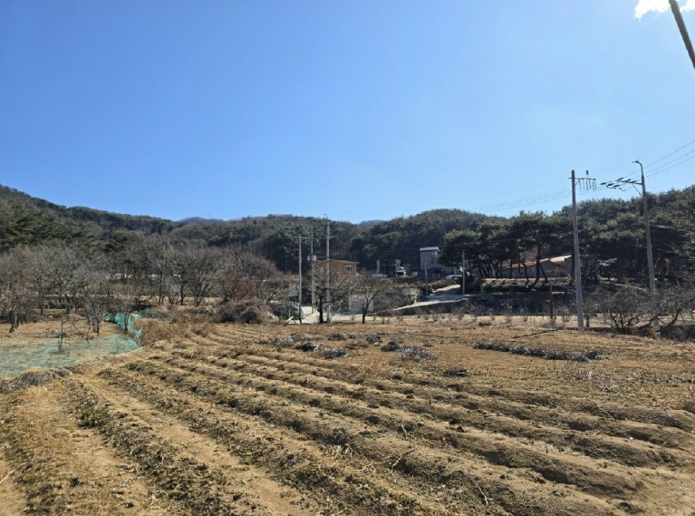 경상남도 양산시 하북면 백록리 397-5 외 2필지 도로 경매 사진 5