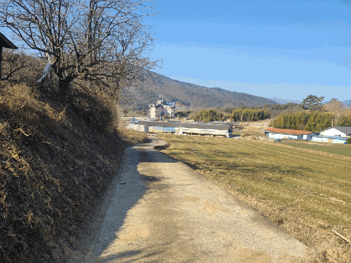 울산광역시 울주군 두동면 이전리 601-5 전 경매 사진 11
