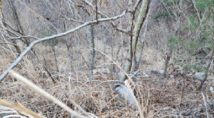 경상남도 양산시 어곡동 1701-1 외 3필지 답 경매 사진 3