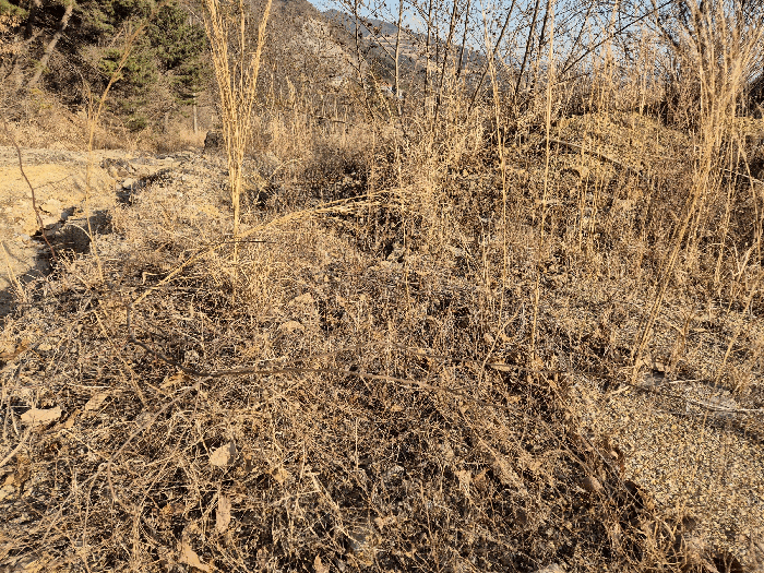 경상남도 양산시 어곡동 1701-1 외 3필지 답 경매 사진 8