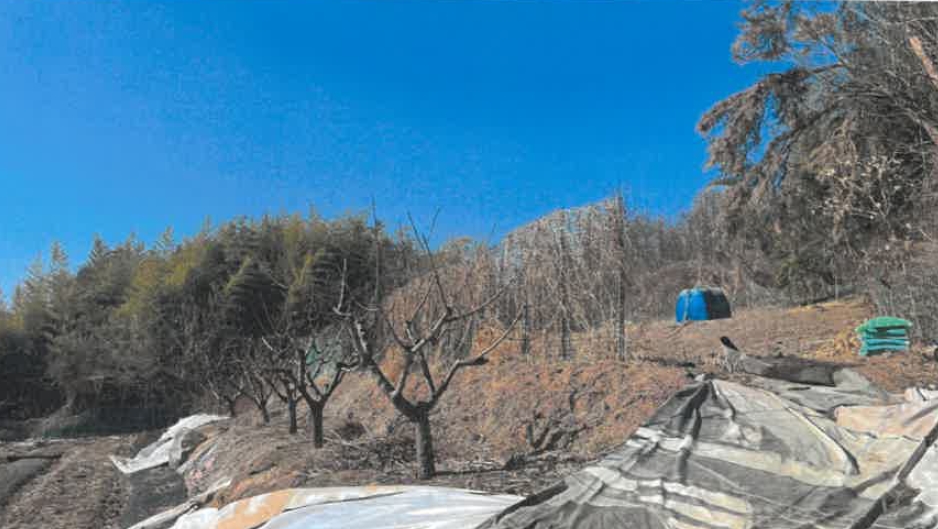 울산광역시 울주군 청량읍 삼정리 250-1 전 경매 사진 17
