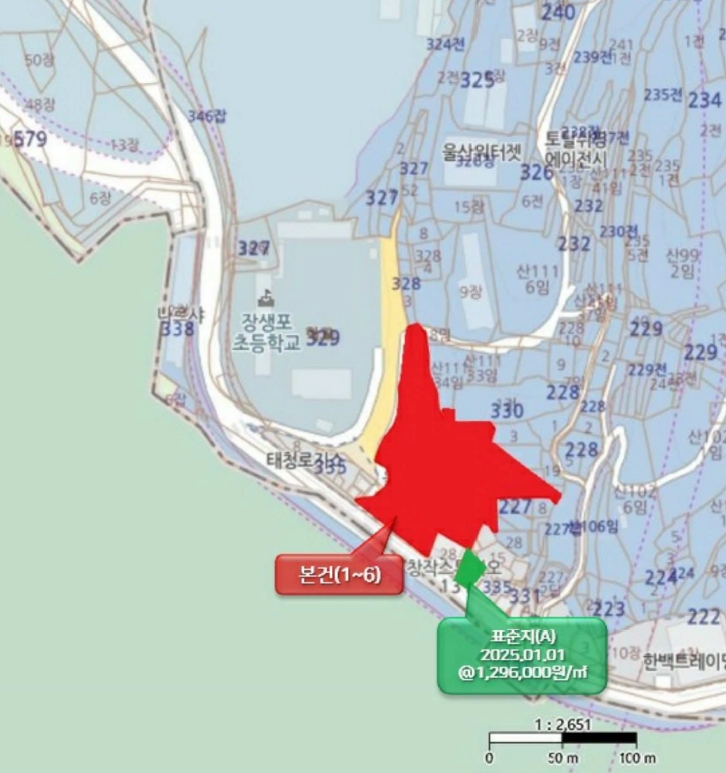 울산광역시 남구 장생포동 227-10 외 5필지 근린생활시설 경매 사진 52