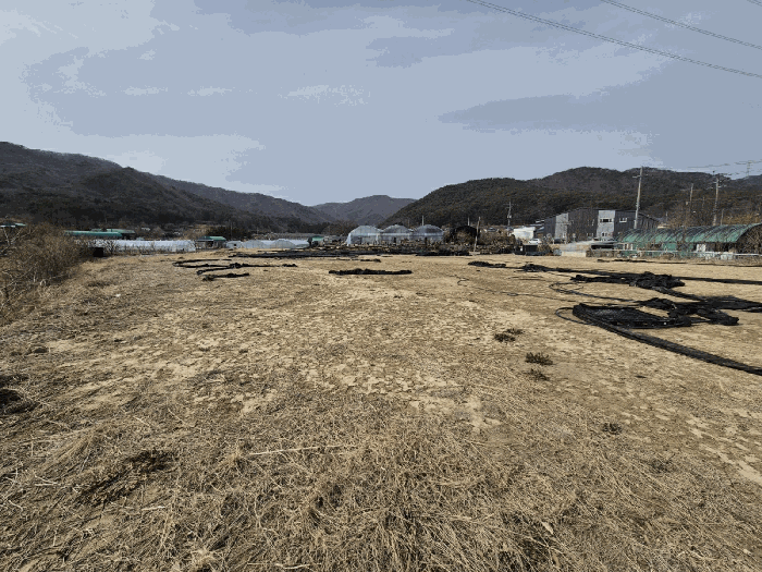 경상남도 양산시 동면 법기리 532-1 답 경매 사진 15