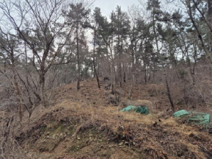 울산광역시 울주군 서생면 나사리 31 외 2필지 답 경매 사진 1