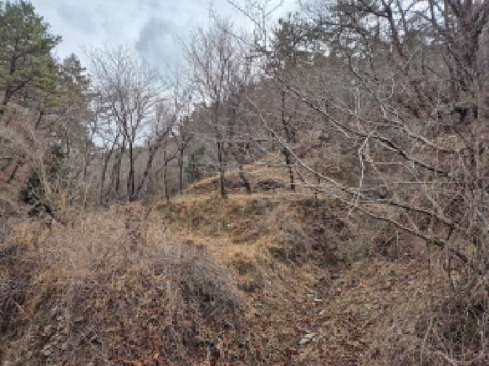 울산광역시 울주군 서생면 나사리 31 외 2필지 답 경매 사진 2
