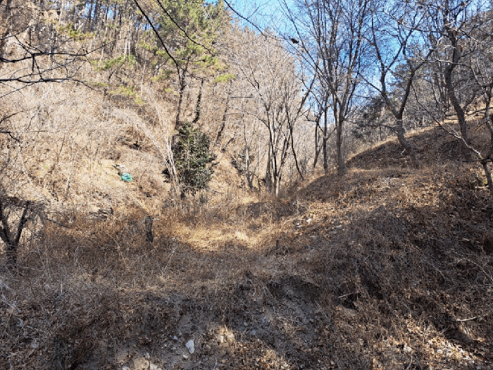 울산광역시 울주군 서생면 나사리 31 외 2필지 답 경매 사진 6