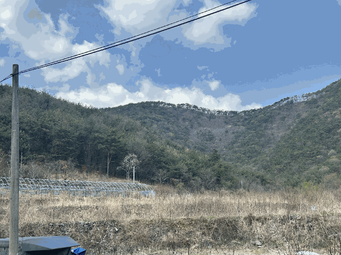경상남도 김해시 상동면 우계리 산61 임야 경매 사진 11