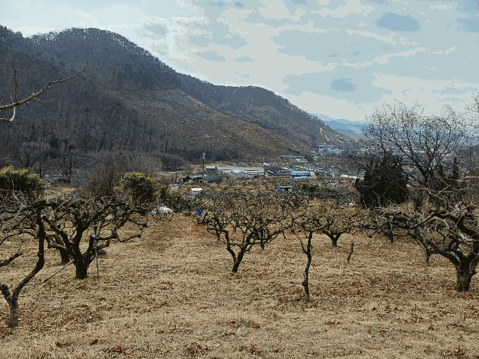 경상남도 김해시 한림면 금곡리 55 전 경매 사진 15
