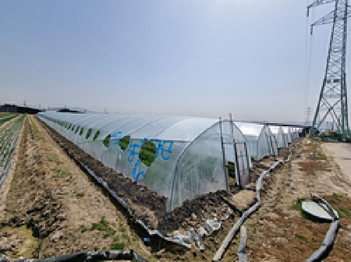 경상남도 창원시 의창구 대산면 일동리 749 외 1필지 답 경매 사진 1