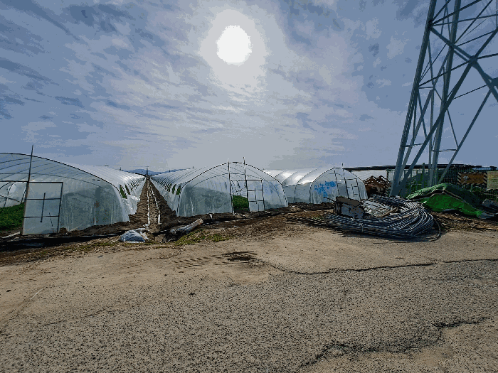 경상남도 창원시 의창구 대산면 일동리 749 외 1필지 답 경매 사진 4