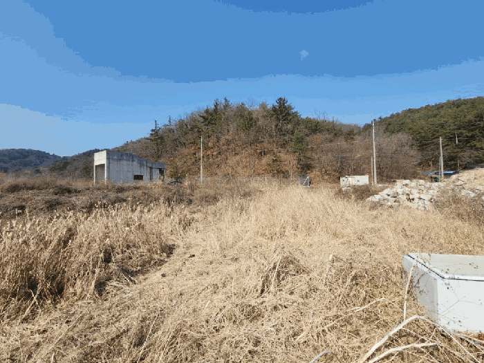 경상남도 함안군 산인면 입곡리 951 외 1필지 답 경매 사진 4