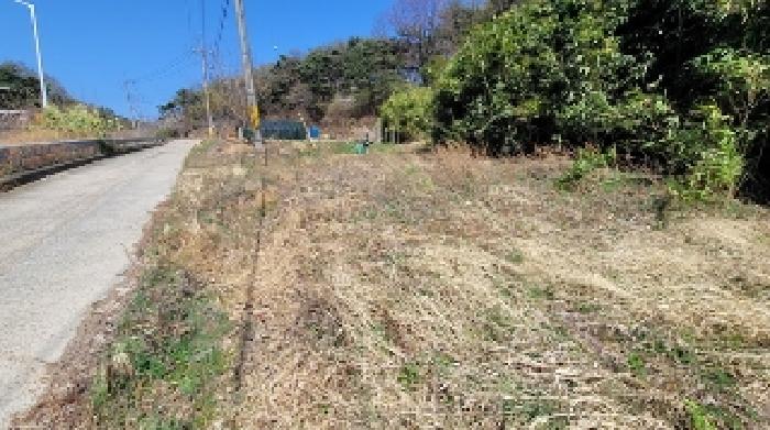 경상남도 함안군 칠원읍 운곡리 229 외 2필지 전 경매 사진 3