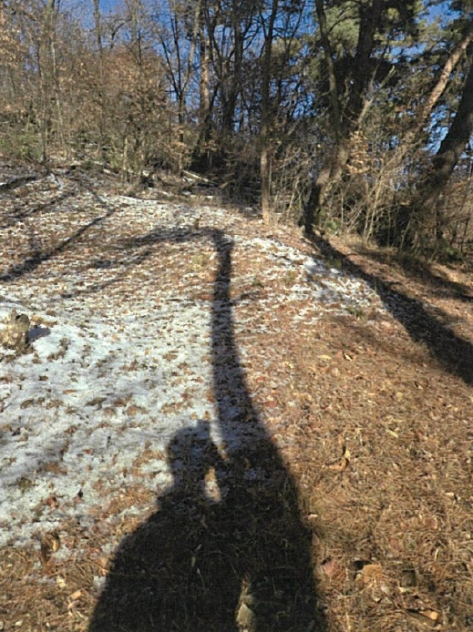 경상남도 함안군 가야읍 혈곡리 736 외 1필지 임야 경매 사진 15