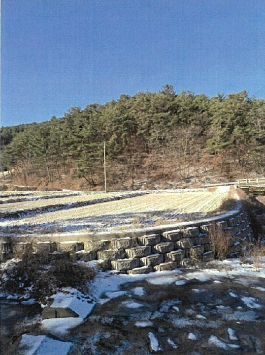 경상남도 함안군 가야읍 혈곡리 736 외 1필지 임야 경매 사진 7