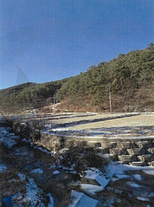 경상남도 함안군 가야읍 혈곡리 736 외 1필지 임야 경매 사진 8