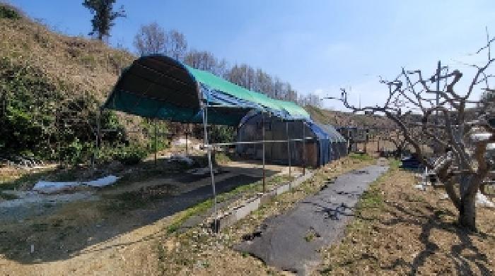 경상남도 함안군 칠서면 용성리 645 외 8필지 답 경매 사진 1