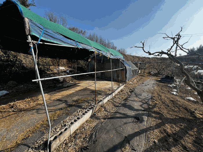 경상남도 함안군 칠서면 용성리 645 외 8필지 답 경매 사진 13