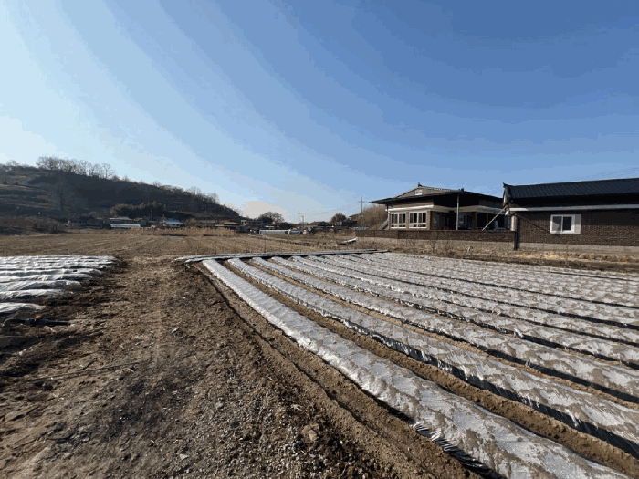 경상남도 함안군 칠서면 용성리 645 외 8필지 답 경매 사진 17